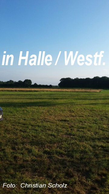 Halle 2017 (76) Scholz