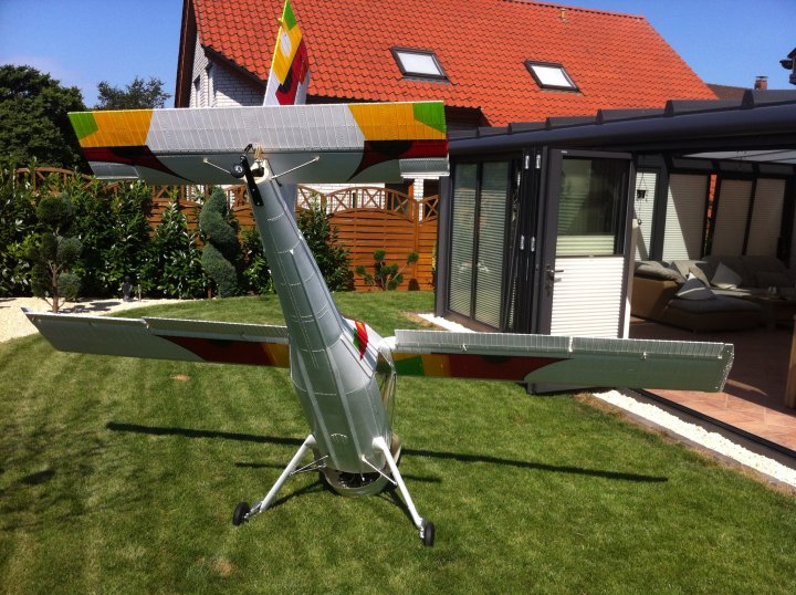 Rainers SternWilga (6)