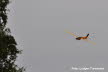 Ahnsbeck25-2_LudgerTorwesten (23)
