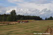 Ahnsbeck25-2_LudgerTorwesten (51)
