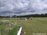 Ahnsbeck26-1Scholz (10)
